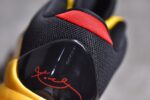 Nike Kobe 5 Protro Bruce Lee crossreps