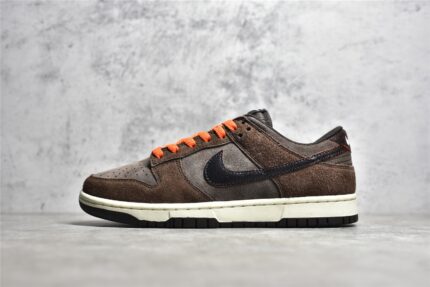 NK SB Dunk Low Baroque Brown DQ8801-200 crossreps