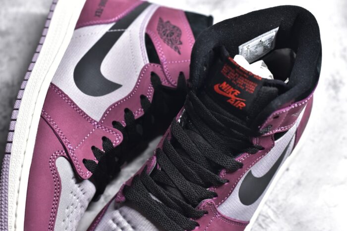 Air Jordan 1 High Element Gore-Tex Berry Crossreps