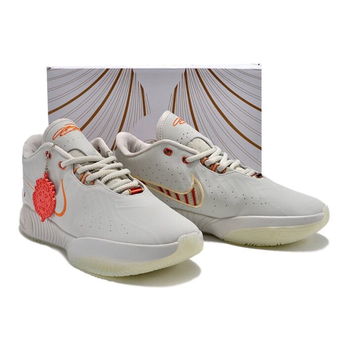 NIKE LEBRON 21 x AKOYA crossreps