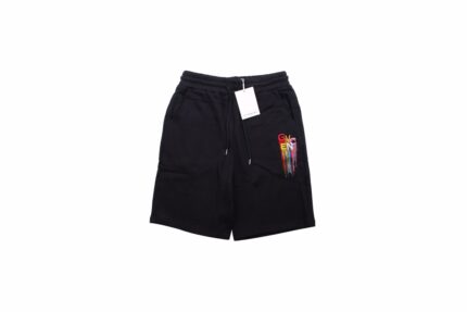 22SS Colorful Embroidery Logo Short crossreps
