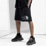 The North Face 23ss Short