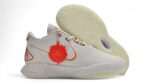 NIKE LEBRON 21 x AKOYA