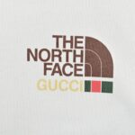 The North Face Scenery Logo T-Shirt