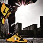 Nike Kobe 5 Protro Bruce Lee