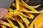 Nike Kobe 5 Protro Bruce Lee