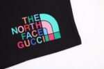 The North Face 23ss Short