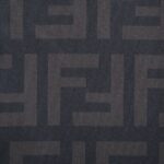 24ss Full Double F Logo T-Shirt