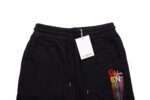 22SS Colorful Embroidery Logo Short