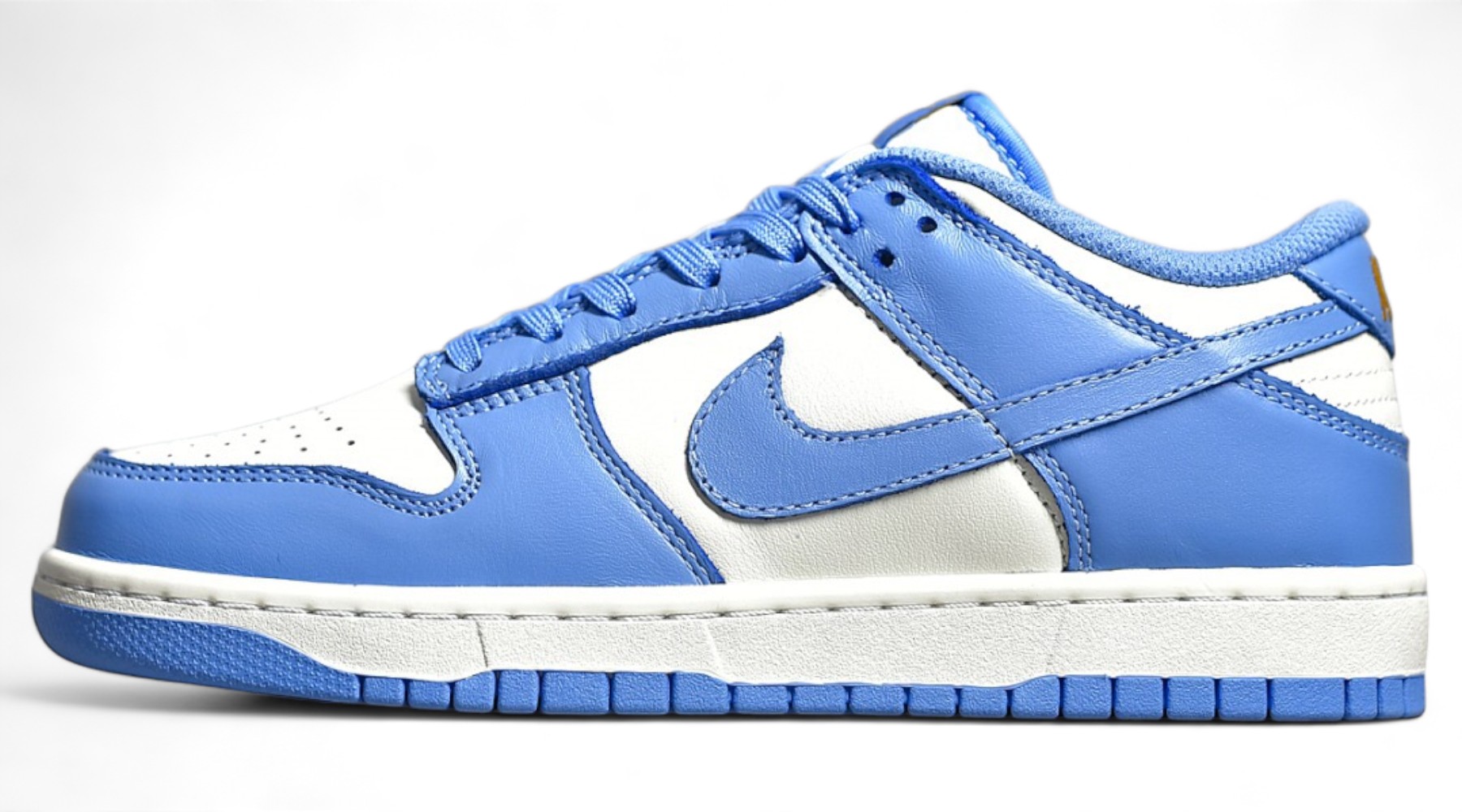 Dunk Low Coast DD1503-100