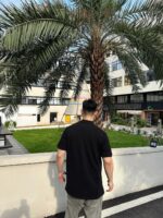 24ss Chest TB Embroidery Logo Polo T-Shirt