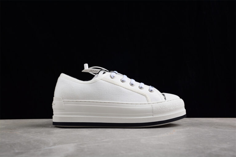 Dior B713 Low-Top Sneaker – White Canvas with Logo Detailing