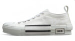 Dior B23 Low-Top Sneaker – White Oblique Transparent
