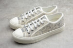 Dior (Copy)