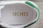 Dior Low-Top Sneaker with Green Panel & Embroidered Logo